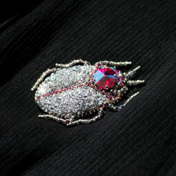 Silvery-pink bug