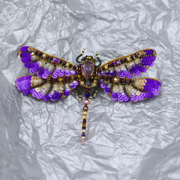 Autumn violet dragonfly