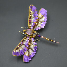 Autumn violet dragonfly