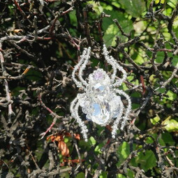 Autumn crystal spider